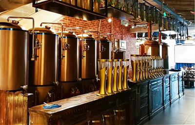 发掘精酿啤酒商机,领略创业魅力!