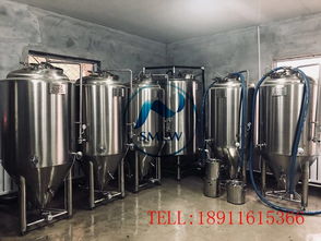 小型啤酒厂酿酒设备,德国精酿啤酒设备,2吨自酿啤酒设备价格