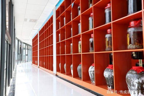 传成酒械 来告诉你发酵时需要注意哪些