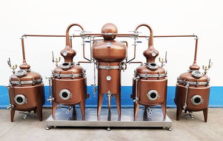 甘肃果梗分离器酿酒专用 山东一工酿酒设备