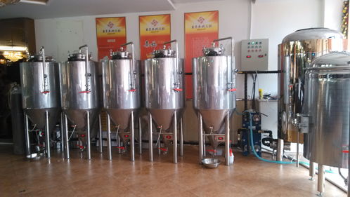 自酿设备现场安装定做酿酒设备