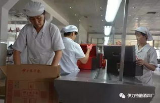 伊力特酿酒四厂首包新产品皮箱 伊力探寻者