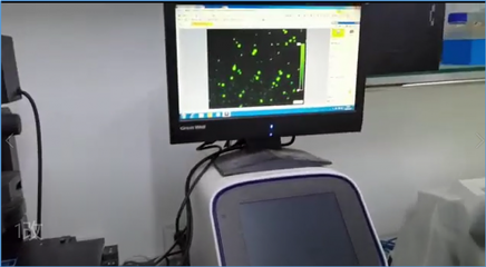 合曜生物 | 依托非模式生物自动化改造平台,聚焦高附加值产品,多款已达量产水平